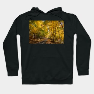 North Shore Drive in Moraine State Park of Pennsylvania Hoodie